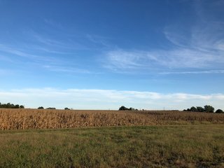Property photo 64 - MAJOR LAND AUCTION - 1,085+/- ACRES IN 24 TRACTS IN HENRY & WAYNE COUNTIES, INDIANA